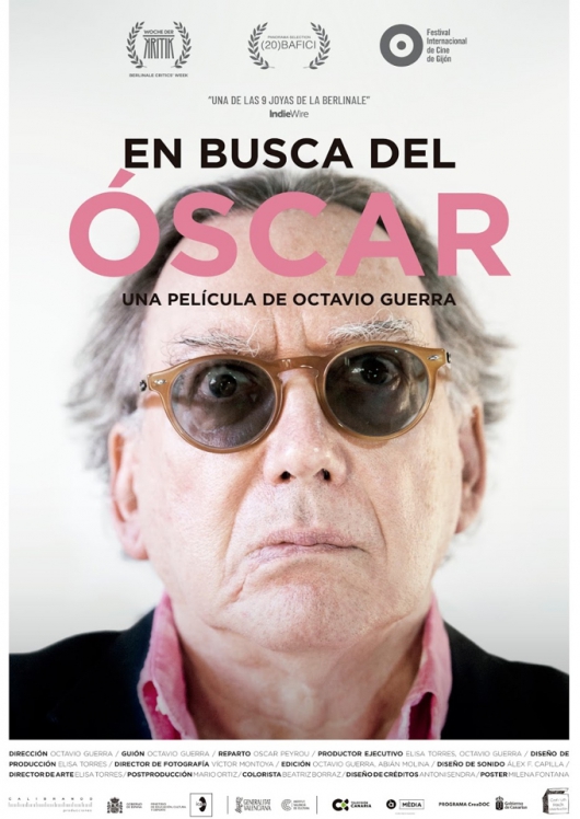 En busca del &Oacute;scar